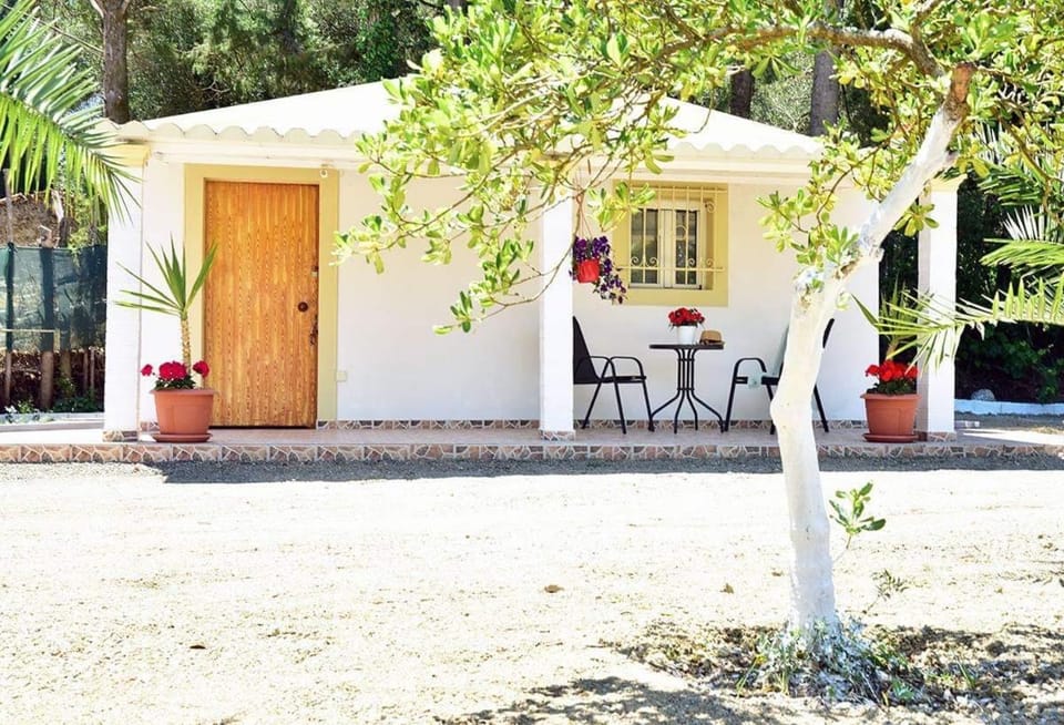 Property building, Patio, Facade/entrance