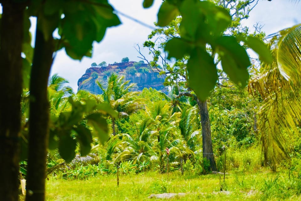 Sigiri Starwing Villa Bed and Breakfast in Dambulla