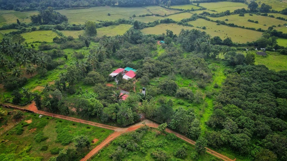 Natural landscape, Bird's eye view