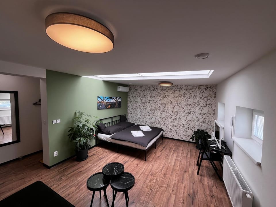 Bed, TV and multimedia, Living room, Photo of the whole room, Seating area, Bedroom, kitchen
