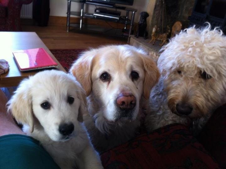 Holywell Grange Farm Farm Stay in North Tyneside District