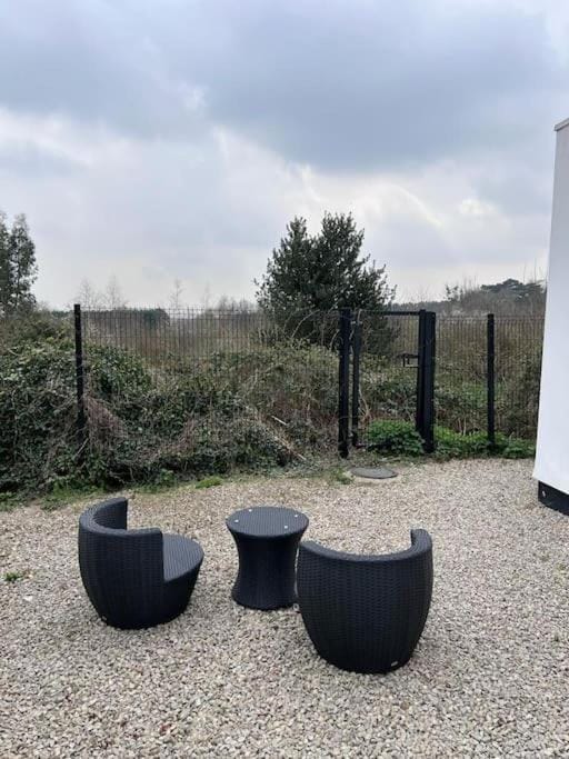 Patio, Garden