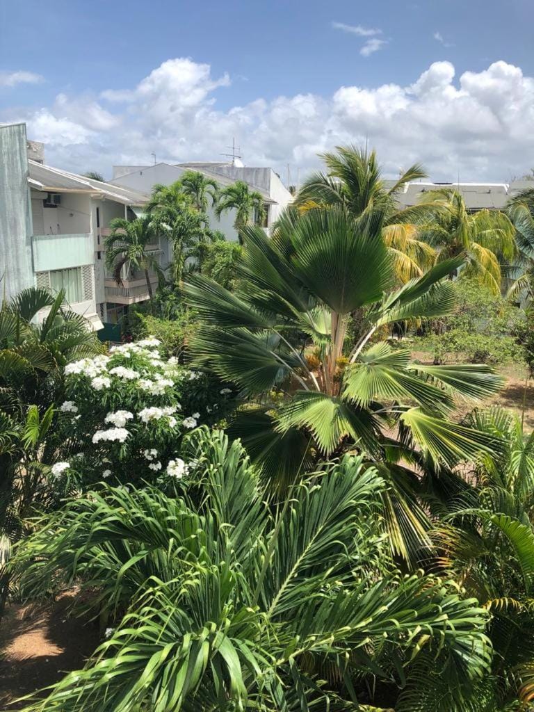Résidence MARINA 3 Apartment in Les Trois-Îlets