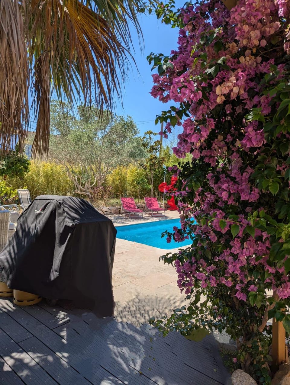 Peaceful 4 stars eco-friendly villa with private pool and parking House in Roquebrune-sur-Argens