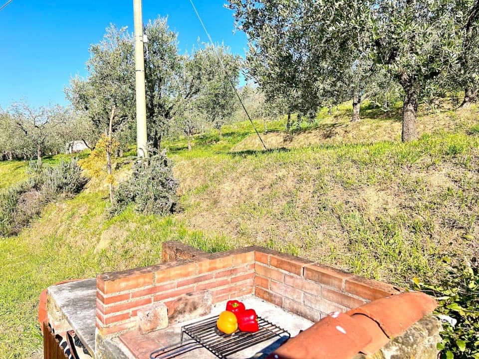 Casa Pozzi House in Capannori