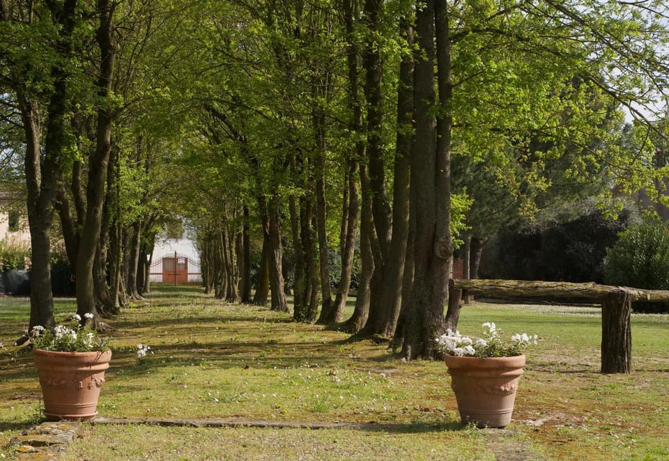 Natural landscape, Garden