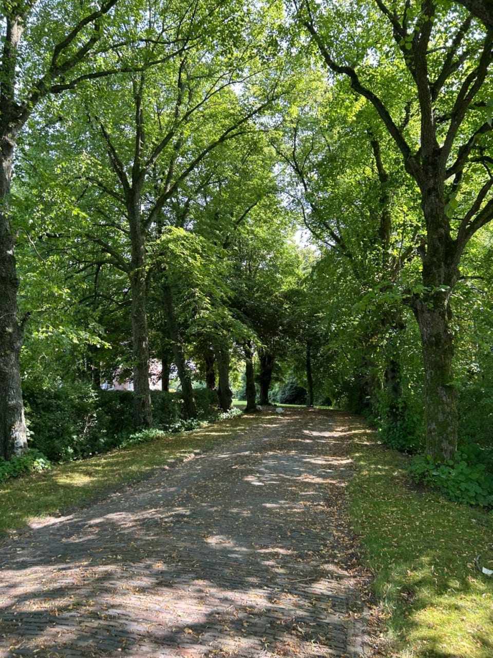 Natural landscape