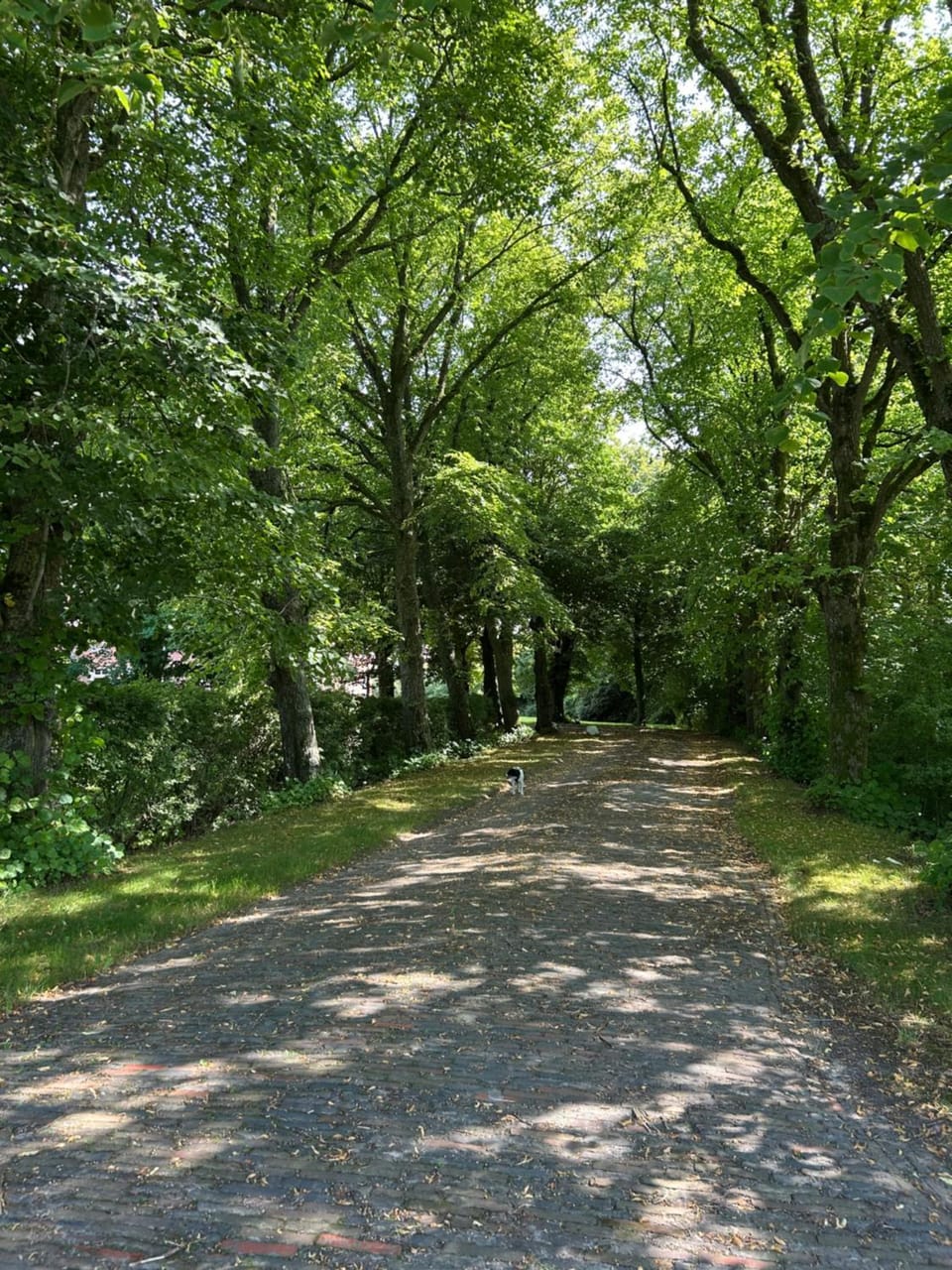 Natural landscape