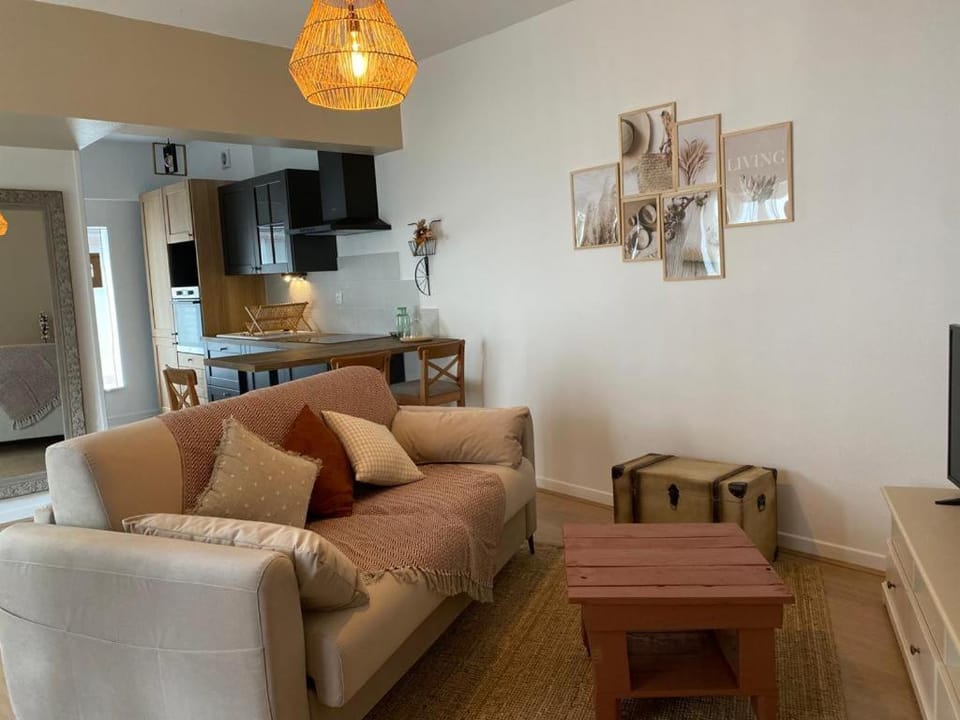 Appartement cosy en centre ville avec SPA et jardin Apartment in Dijon