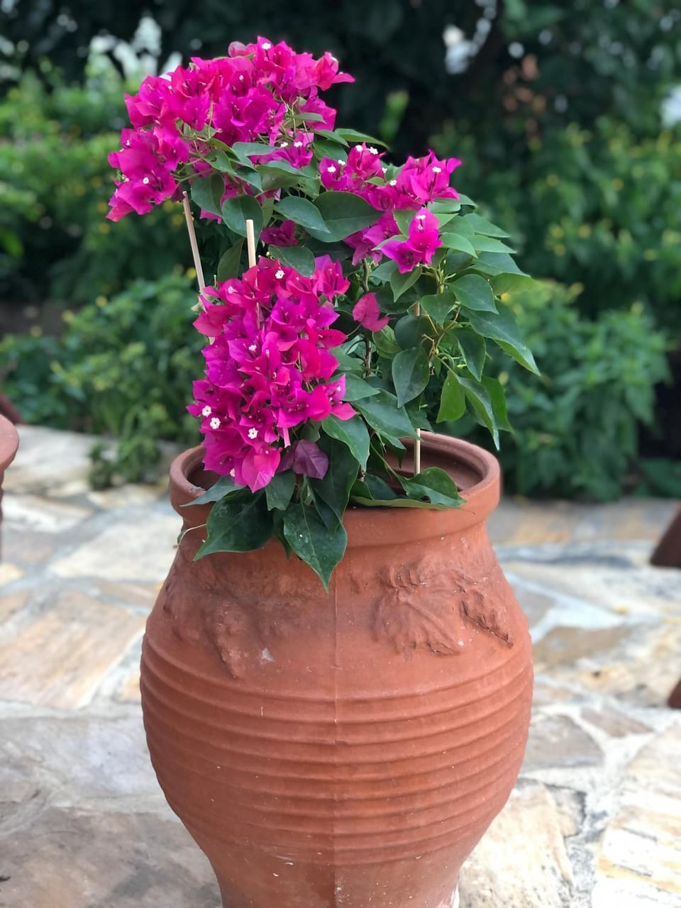 Cycladic Luxury Maisonette House in Naxos, Naxos and Lesser Cyclades, Greece