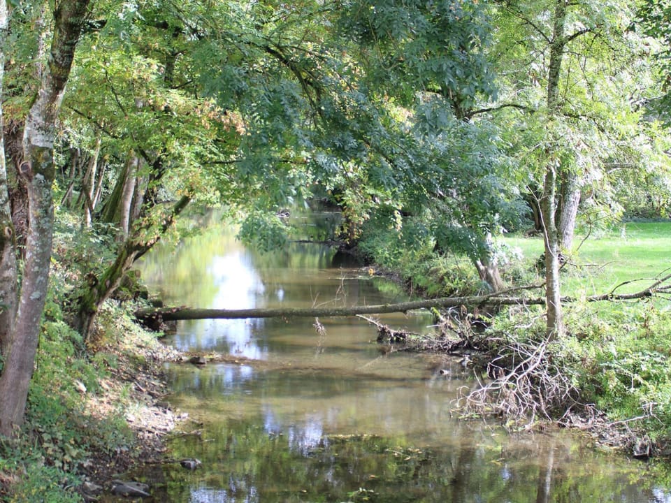 Gîte indépendant au bord de la rivière, cadre historique, pêche, animaux bienvenus, parking privé - FR-1-586-22 House in Centre-Val de Loire