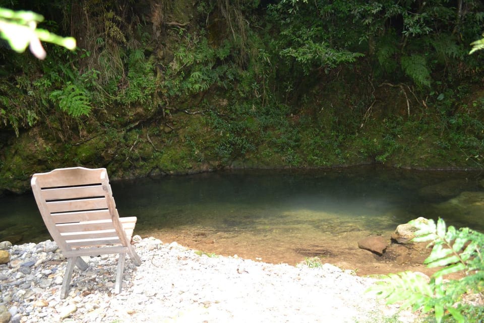Natural landscape, River view