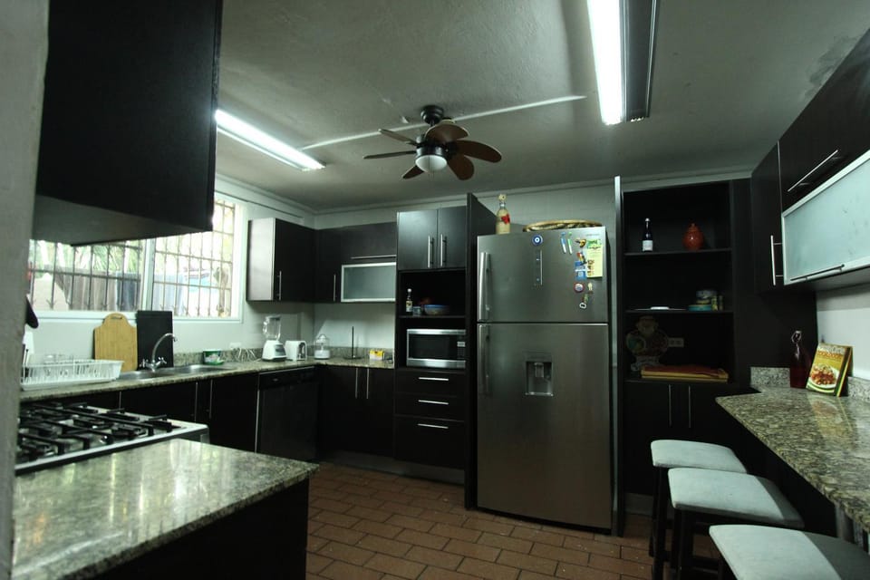 Kitchen or kitchenette, Kitchen or kitchenette, dishwasher, fireplace, minibar, pet friendly, stove