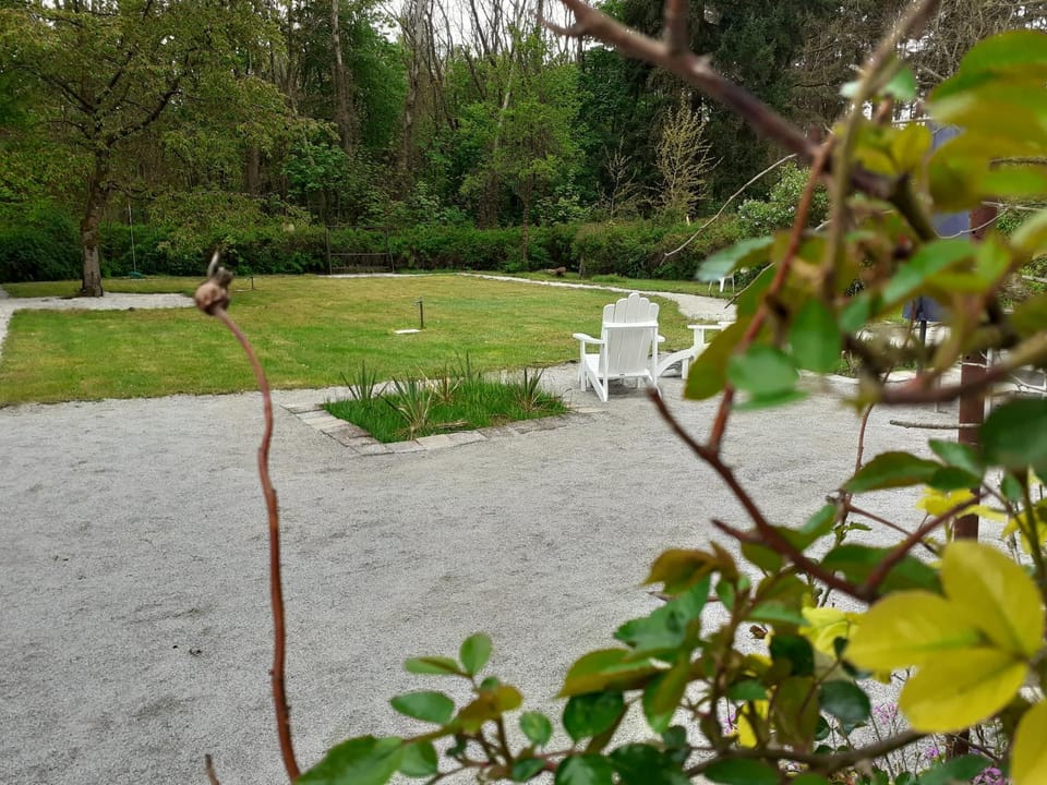 Natural landscape, Garden, Balcony/Terrace, Garden view