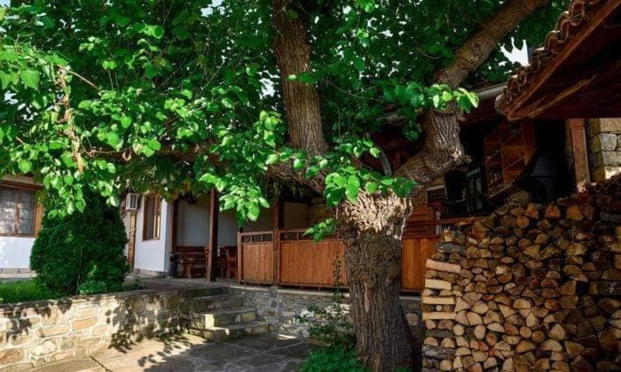 Day, Garden, Garden view