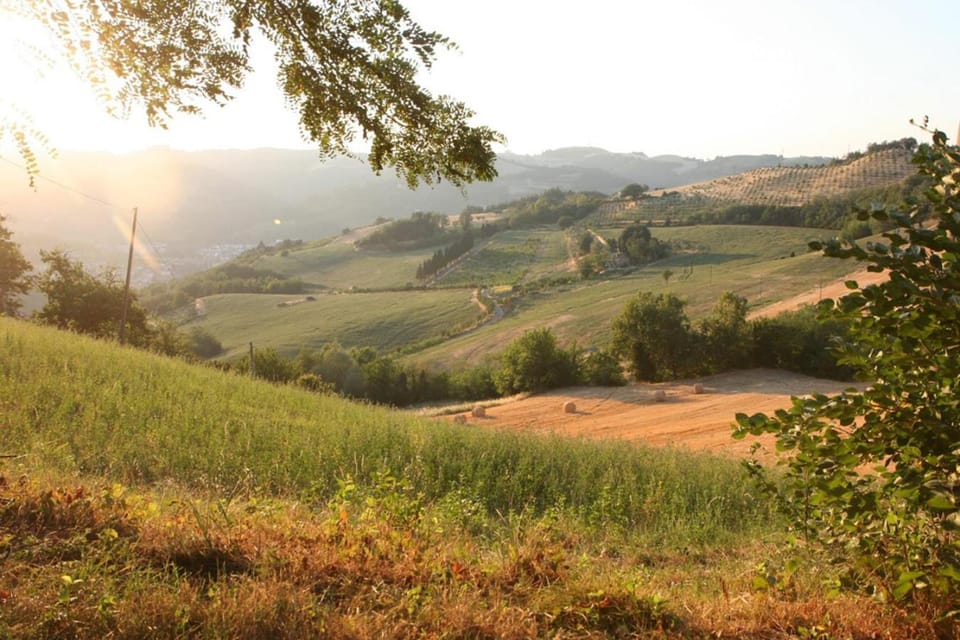 Natural landscape