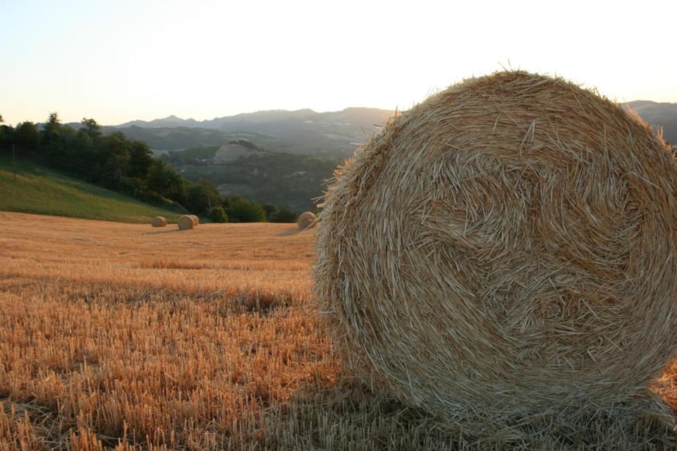 Natural landscape