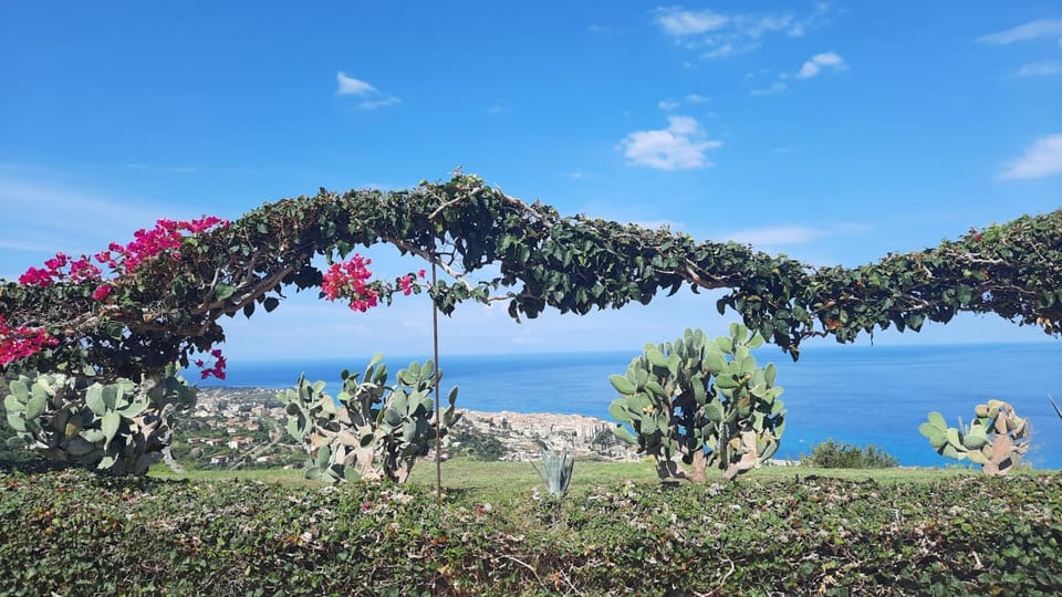 Garden, Sea view
