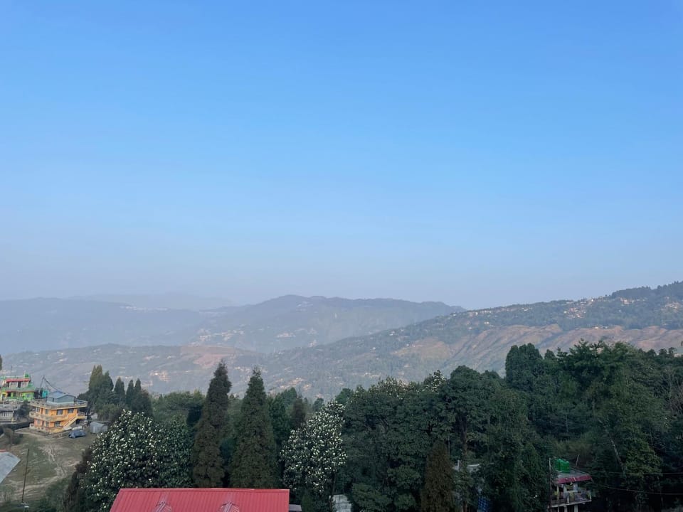 View (from property/room)