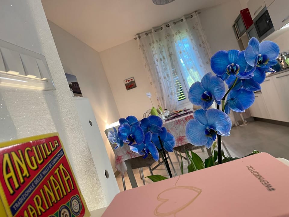 La casa di Celeste B&B Bed and Breakfast in Comacchio