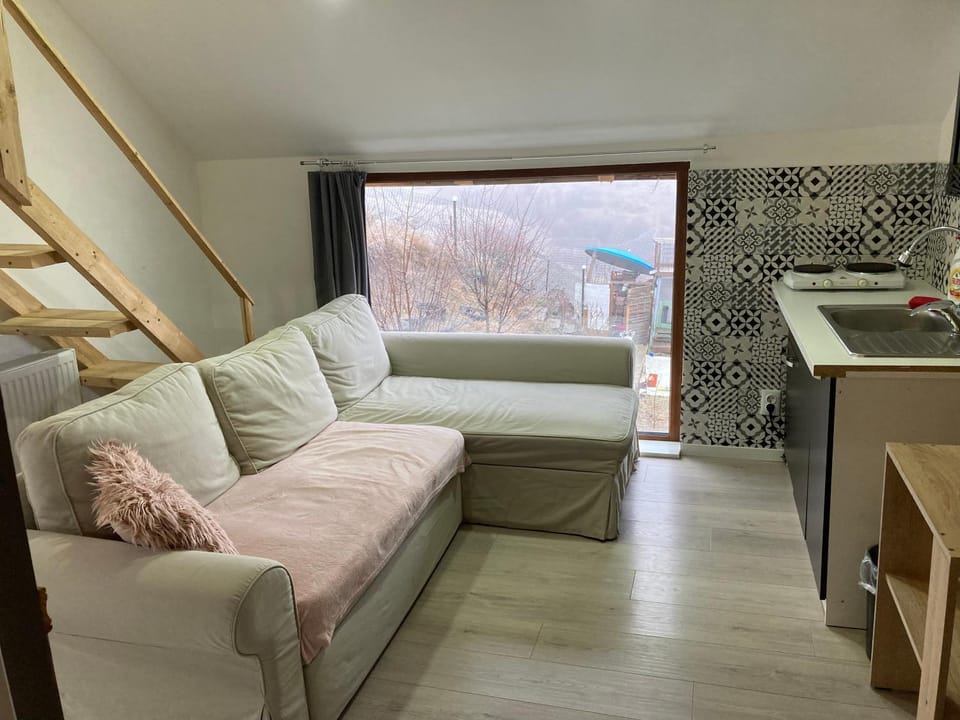 Living room, Garden view