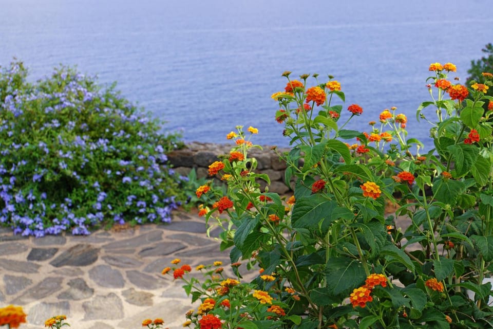 Vento del sud House in Sicily
