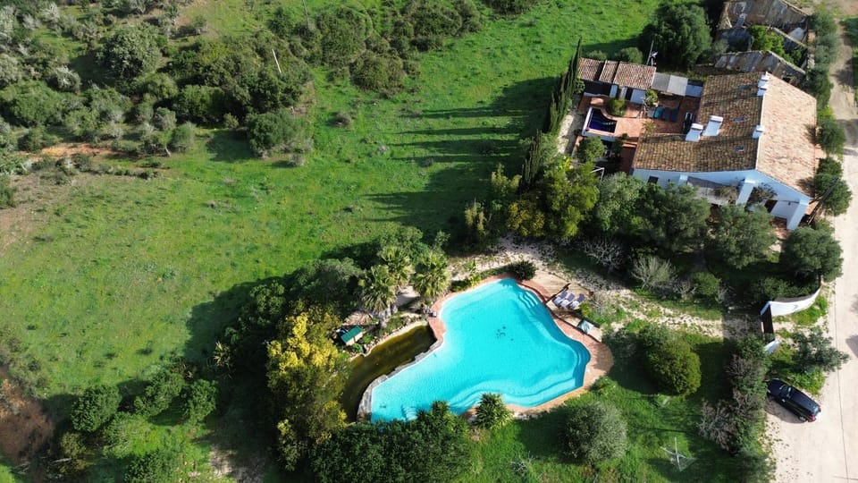 Property building, Day, Natural landscape, Bird's eye view, Garden, Garden, Garden view, Pool view, Swimming pool, Swimming pool
