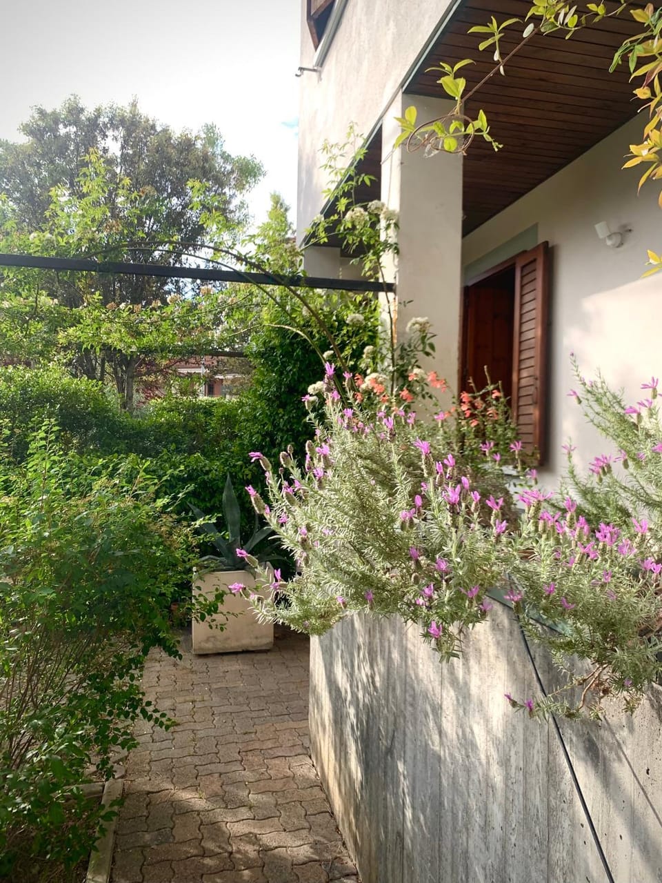 Beau Rivage - Room Studio in villa Apartment in Emilia-Romagna