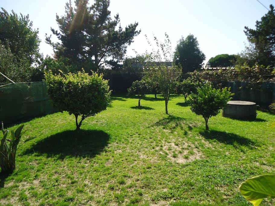 Garden, Garden