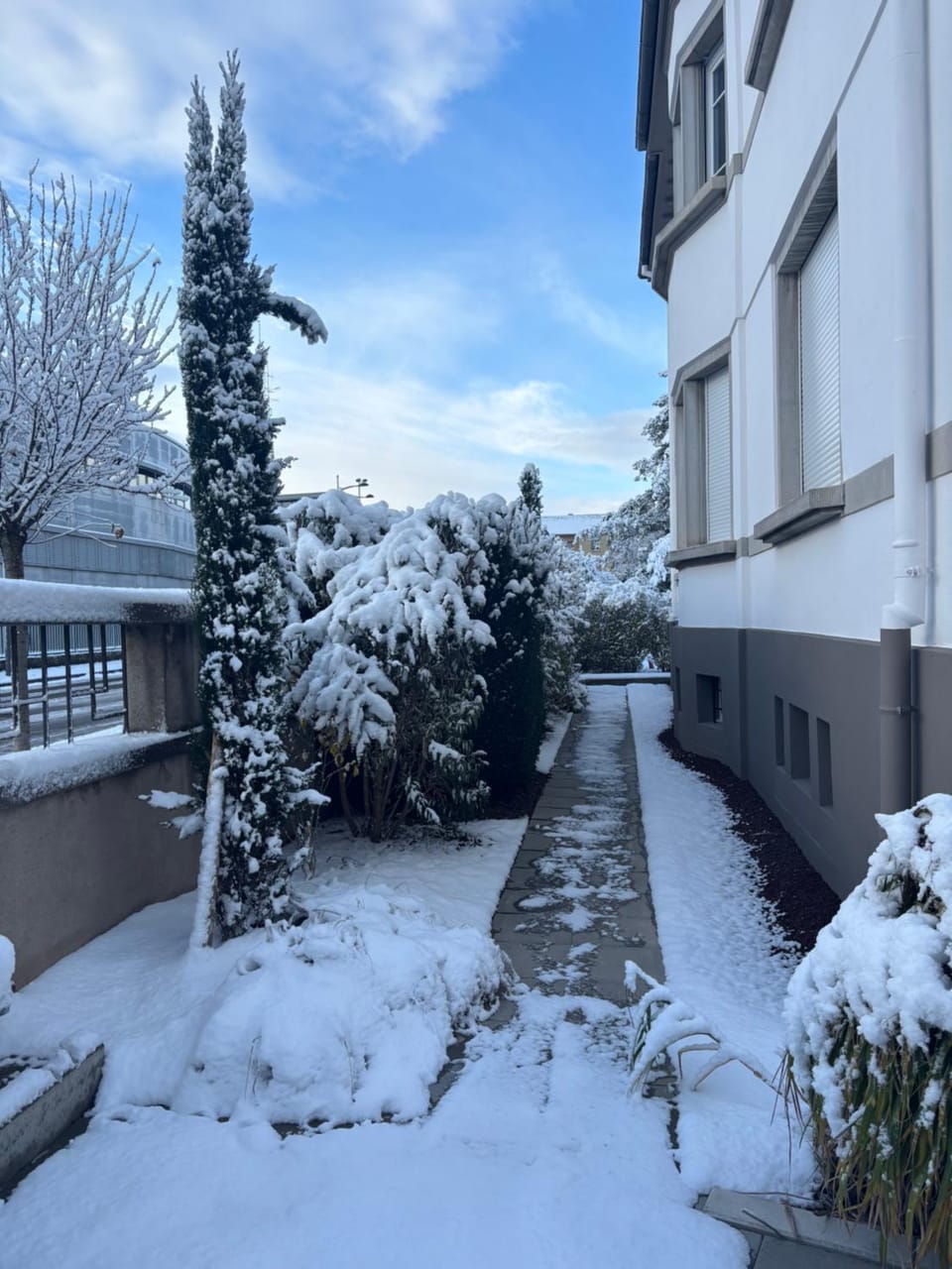 Property building, Winter