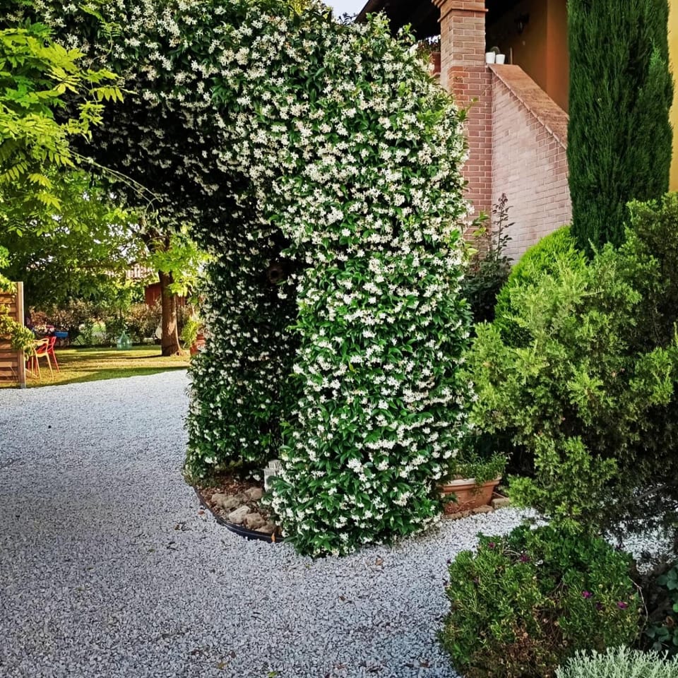 Casolare Isabella "Il rifugio dei vinili" and Alice's room Apartment in Tuscany