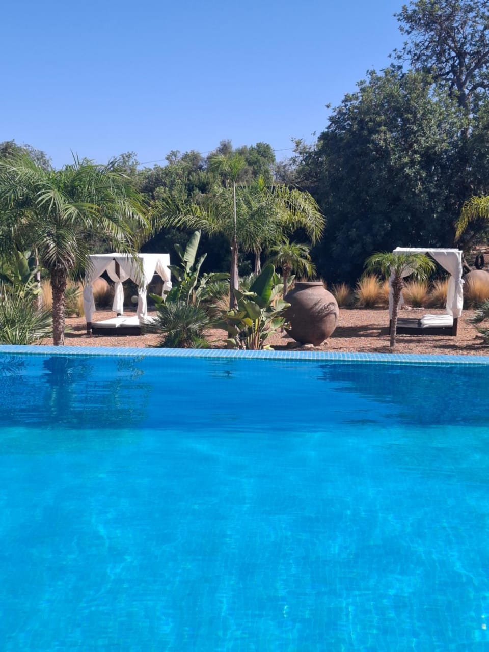 Cosy Guest House - Villa das Alfarrobas Farm Stay in Albufeira