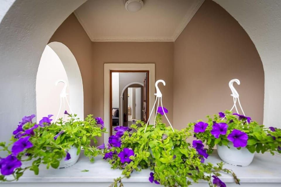 ANGELIKIS HOUSE Apartment in Corfu, Greece