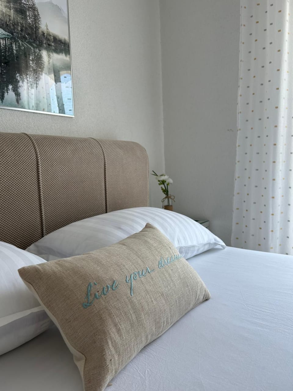 Apartman Rosa Apartment in Zadar