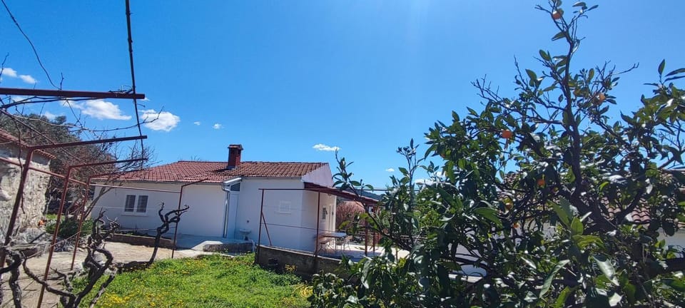 House "Olive Tree" House in Split-Dalmatia County