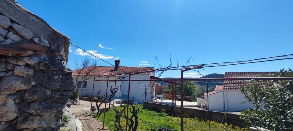 House "Olive Tree" House in Split-Dalmatia County