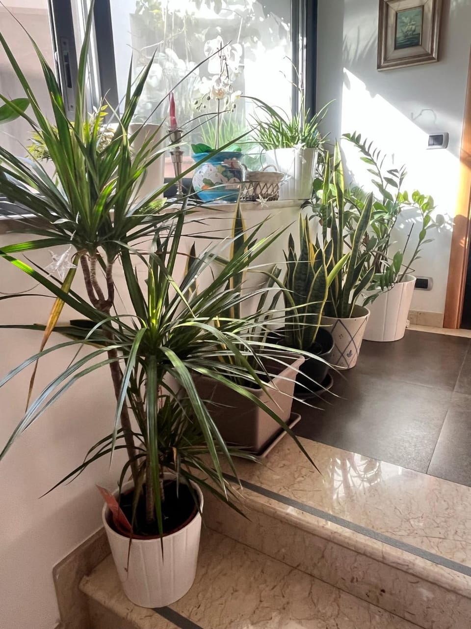 "La casa di Luna city center Catania" Apartment in Catania