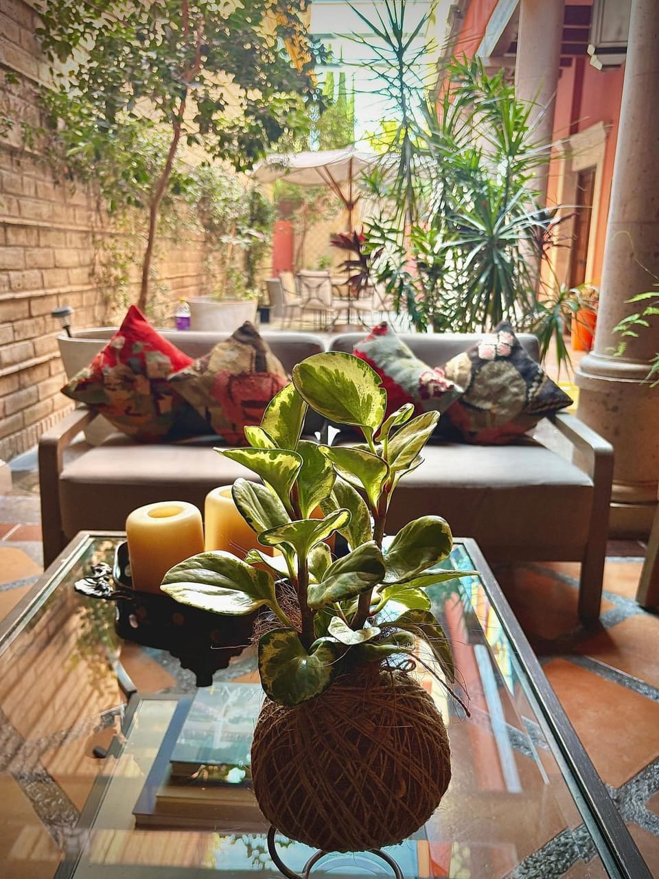 Exclusive Luxury Guest Center House House in San Miguel de Allende