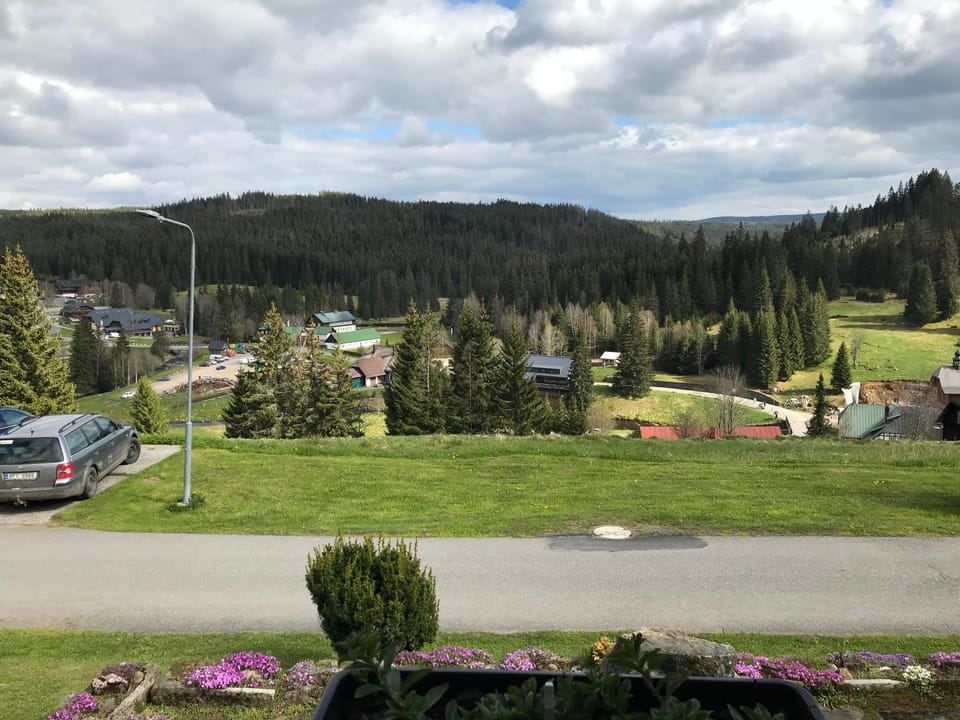Garden view