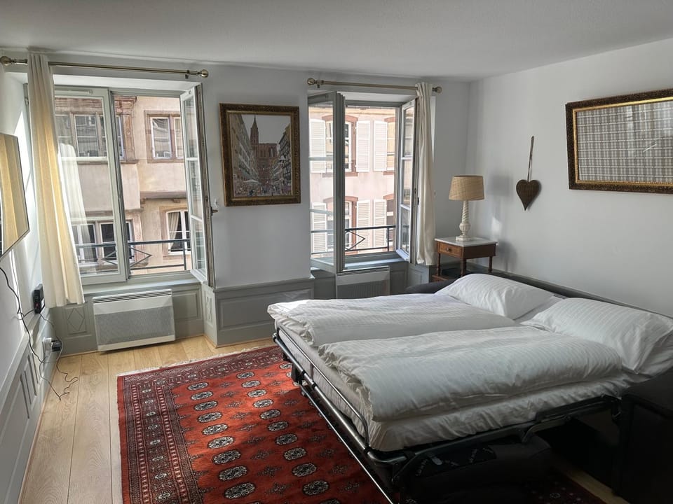 Carré or au pied de la Cathédrale Apartment in Strasbourg