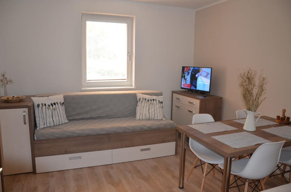 Apartmán Loučná - Špičákovi Apartment in Czechia