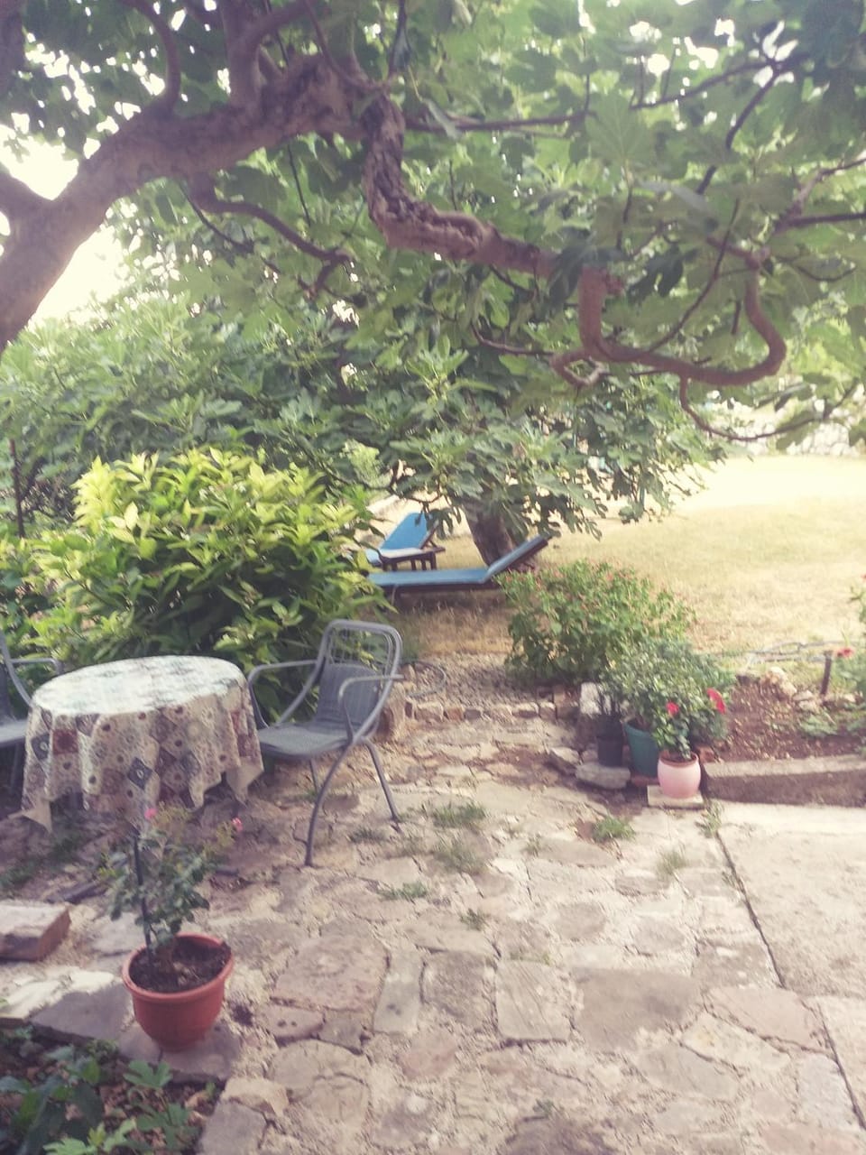 SottoMonte Apartment in Dobrota