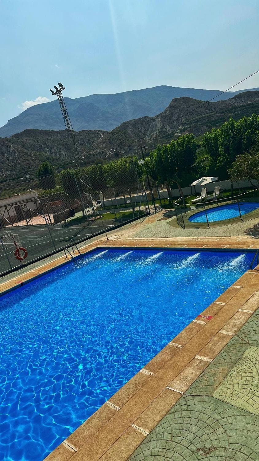 Swimming pool, sunbed