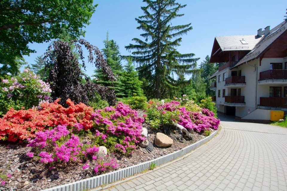 Apartament Jesienny - Karpacz Apartment in Lower Silesian Voivodeship