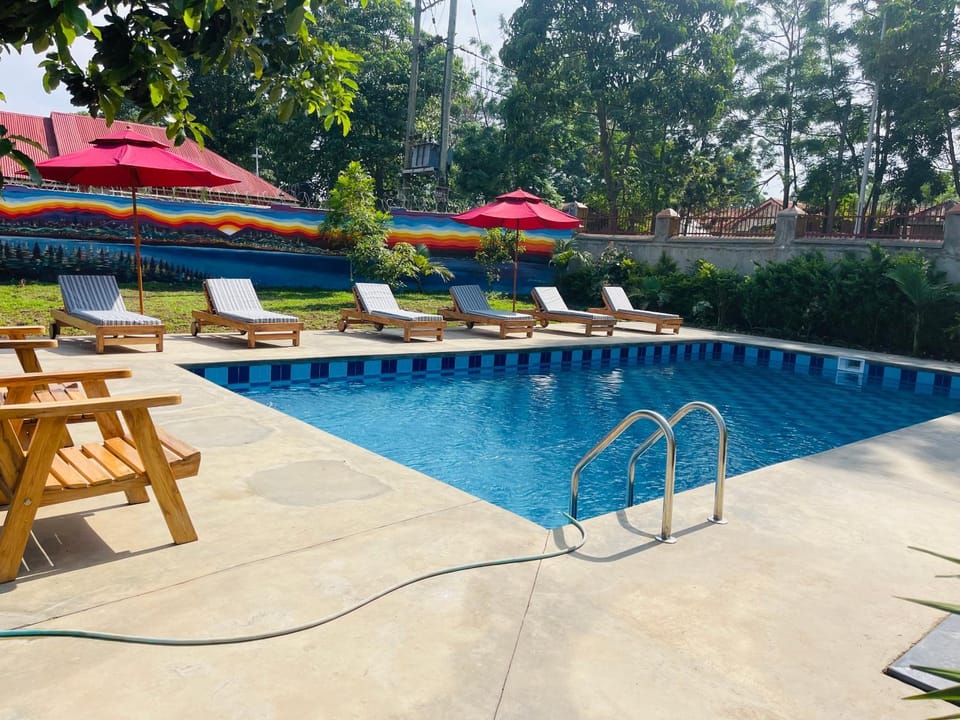 Swimming pool, sunbed