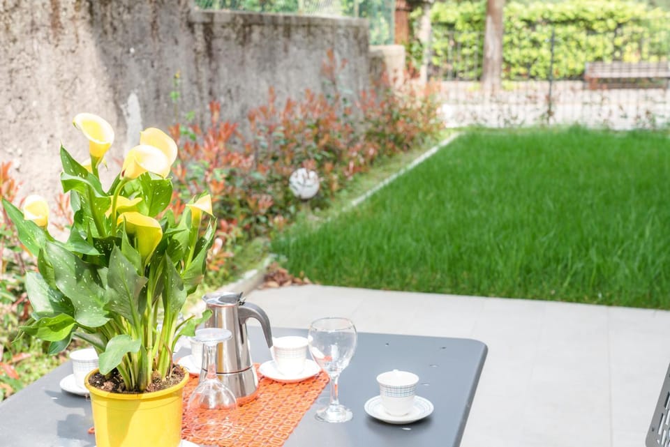 Dining area, Garden view