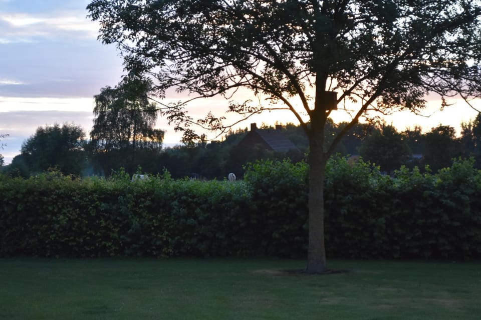 Happy Home-Slapen onder de sterren Campground/ 
RV Resort in Limburg (province)