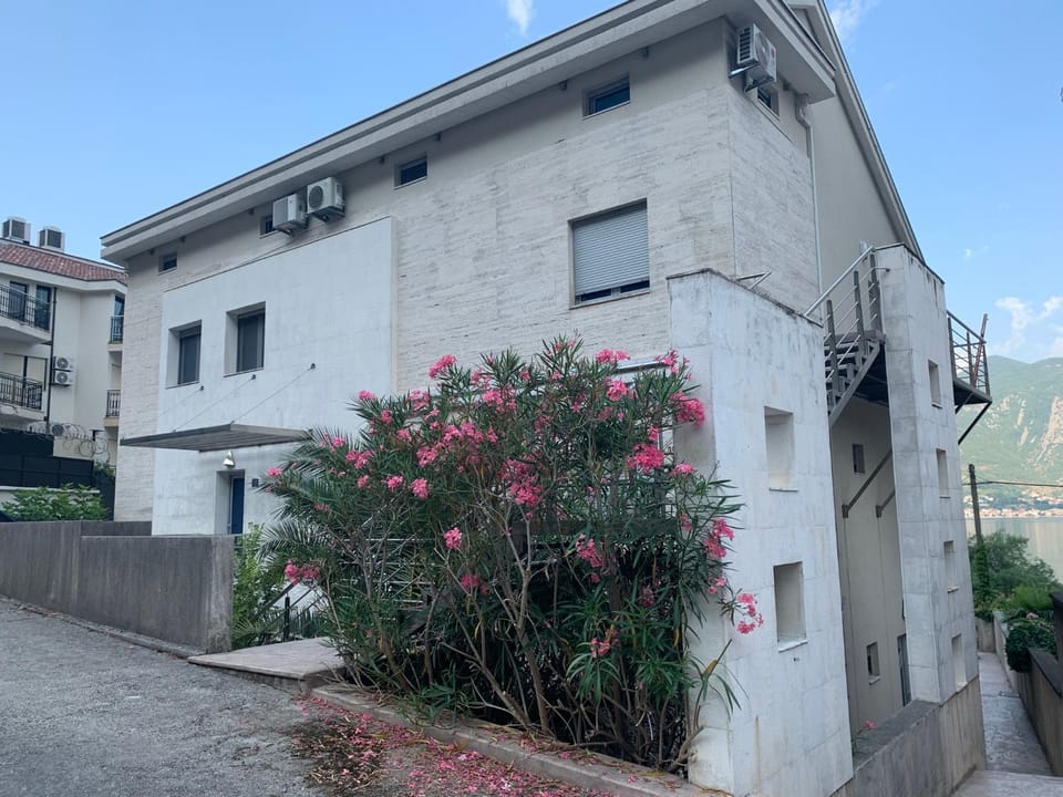 Property building, Day