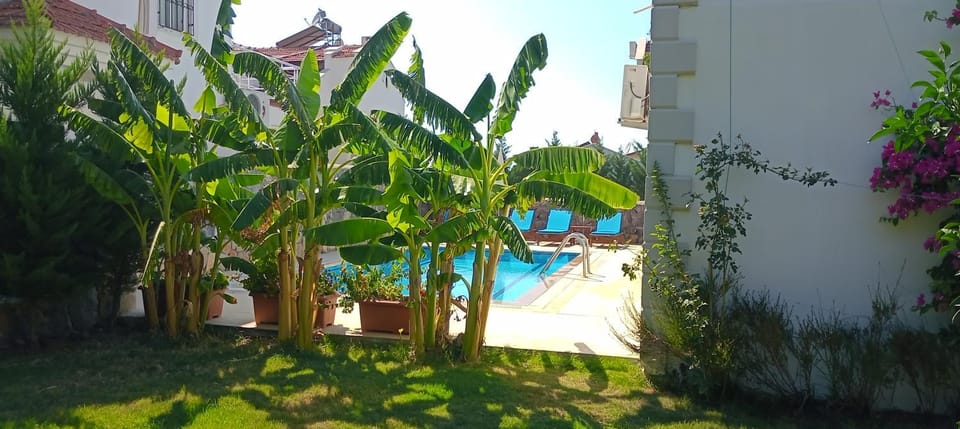 Day, Garden, Garden view, Pool view, Swimming pool, sunbed