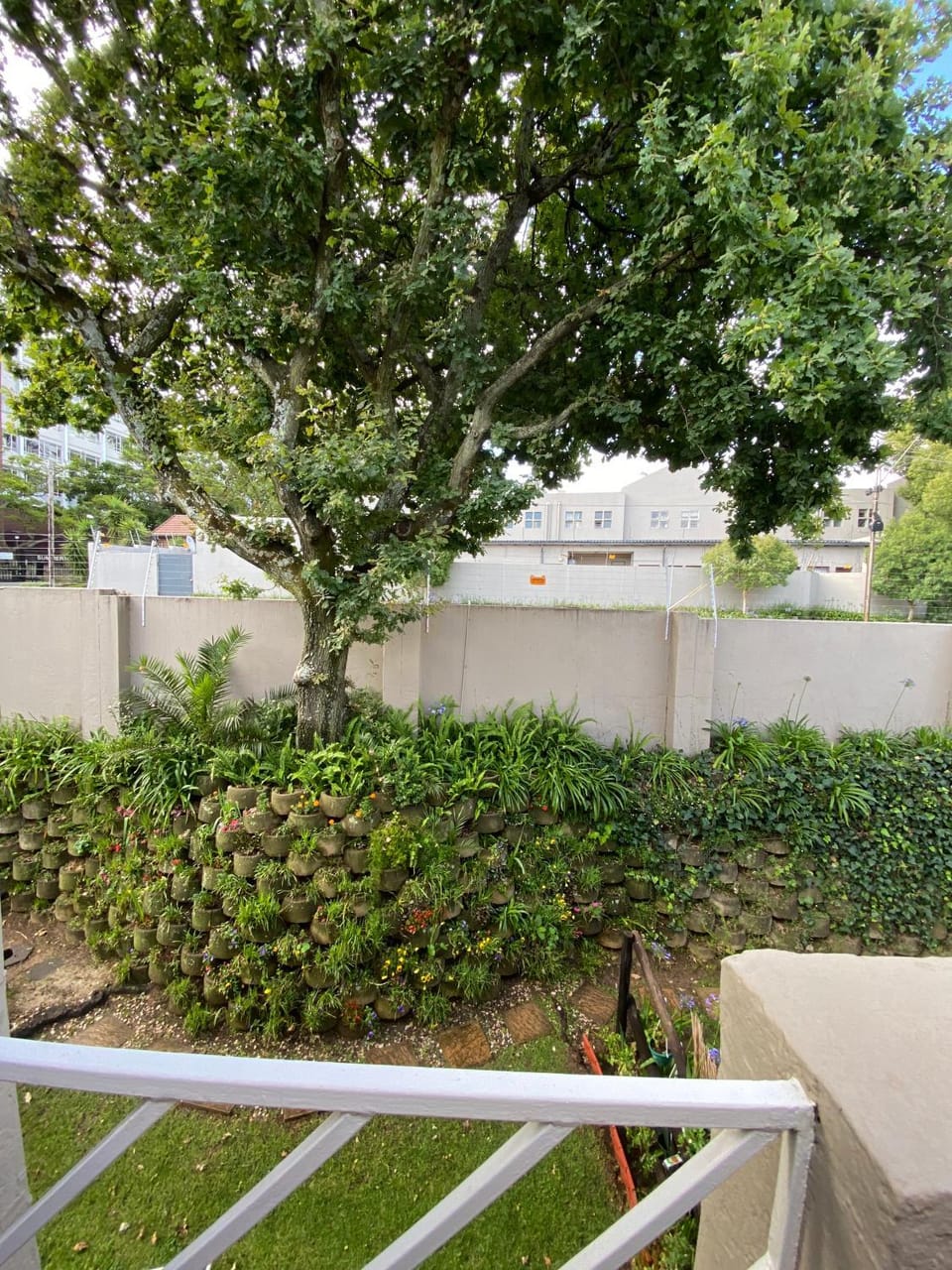 Garden view